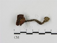 登錄號:F0004783藏品圖，第3張