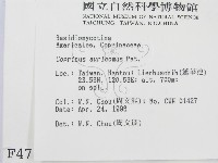 登錄號:F0004785藏品圖，第2張