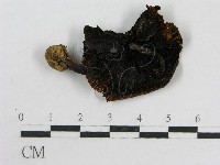 登錄號:F0004785藏品圖，第1張