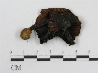登錄號:F0004785藏品圖，第3張