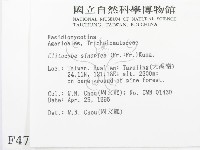登錄號:F0004787藏品圖，第2張