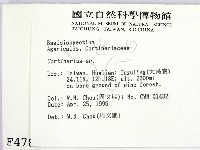 登錄號:F0004789藏品圖，第2張