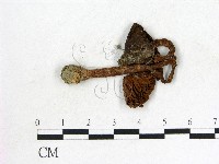 登錄號:F0004789藏品圖，第1張