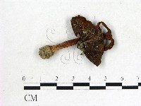 登錄號:F0004789藏品圖，第3張