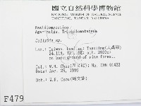 登錄號:F0004790藏品圖，第2張
