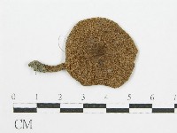 登錄號:F0004790藏品圖，第3張