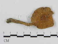 登錄號:F0004793藏品圖，第3張