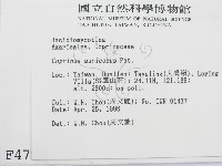 登錄號:F0004794藏品圖，第2張