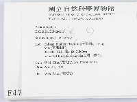 登錄號:F0004796藏品圖，第2張