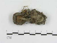 登錄號:F0004796藏品圖，第3張