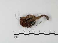 登錄號:F0004797藏品圖，第1張