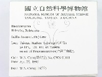 登錄號:F0004798藏品圖，第2張