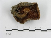 登錄號:F0004798藏品圖，第1張