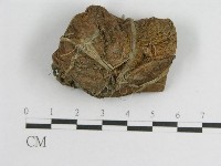 登錄號:F0004798藏品圖，第3張