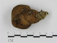 登錄號:F0004799藏品圖，第3張
