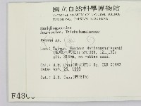 小菇屬藏品圖，第2張