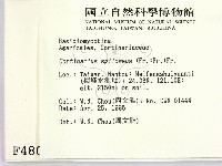 登錄號:F0004801藏品圖，第2張
