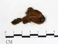 登錄號:F0004801藏品圖，第1張