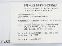 登錄號:F0004803藏品圖，第2張