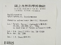 登錄號:F0004805藏品圖，第2張