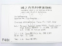 登錄號:F0004806藏品圖，第2張