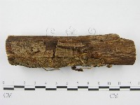 登錄號:F0004806藏品圖，第3張