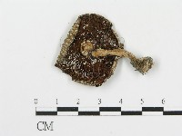 登錄號:F0004807藏品圖，第1張
