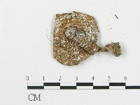 登錄號:F0004807藏品圖，第3張
