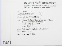 登錄號:F0004810藏品圖，第2張