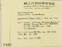 登錄號:F0004813藏品圖，第2張