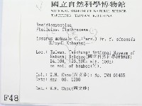 登錄號:F0004815藏品圖，第2張