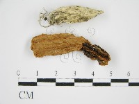 登錄號:F0004815藏品圖，第1張