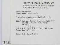 登錄號:F0004816藏品圖，第2張