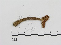 登錄號:F0004816藏品圖，第1張