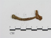 登錄號:F0004816藏品圖，第3張