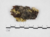登錄號:F0004819藏品圖，第1張