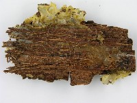 登錄號:F0004819藏品圖，第5張