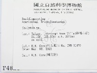 登錄號:F0004820藏品圖，第2張