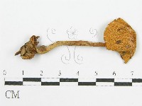 登錄號:F0004820藏品圖，第3張