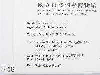 登錄號:F0004821藏品圖，第2張