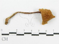 登錄號:F0004821藏品圖，第3張