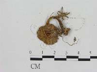 登錄號:F0004823藏品圖，第3張