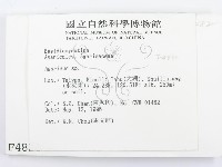 傘菌屬藏品圖，第2張