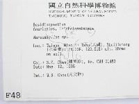 微皮傘屬藏品圖，第2張