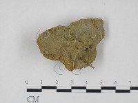 登錄號:F0004832藏品圖，第1張