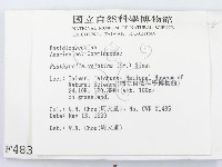 登錄號:F0004833藏品圖，第2張