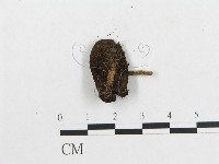 登錄號:F0004833藏品圖，第3張