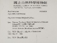 登錄號:F0004836藏品圖，第2張