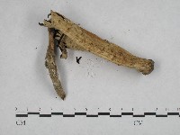 登錄號:F0004836藏品圖，第4張