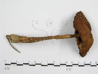 登錄號:F0004838藏品圖，第3張